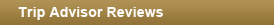 Title_TripAdvisor